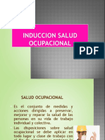 Presentación Induccion Salud Ocupacional