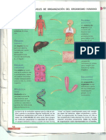 sistema circulatorio:digestivo