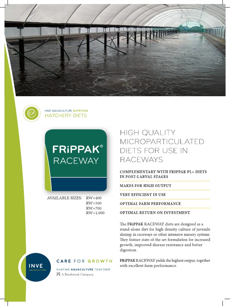 Tc-En-Frippak RW | PDF