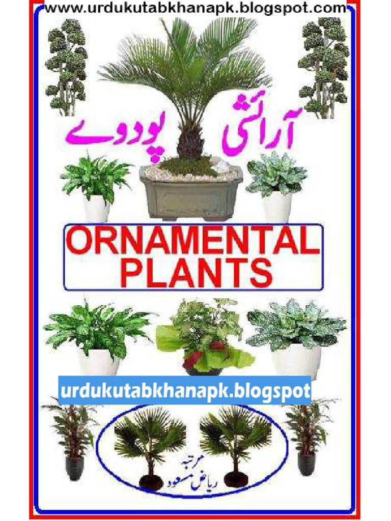 Ornamental Plants in Urdu by Riaz Masood (Urdukutabkhanapk Blogspot