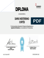 Darko Nesterenko Cortés - Certificado Pavimentos - 2020