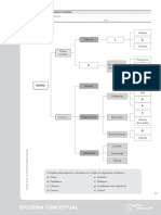 Esquemasconceptuales 7