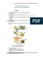 2 - Jaringan Tumbuhan P2