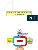 T 14 FUNCIÓN de NUTRICIÓN en LOS ANIMALES (Aparatos Digestivo y Circulatorio)