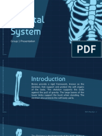 Group 1-Skeletal System Content