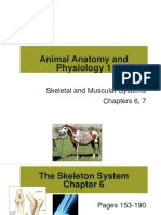 Animal Anatomy and Physiology 1 (Presentation) Author Centro de Conservación de Manatíes de Puerto Rico