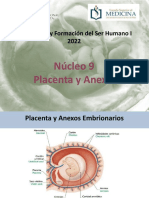 N9 Placenta y Anexos 2022