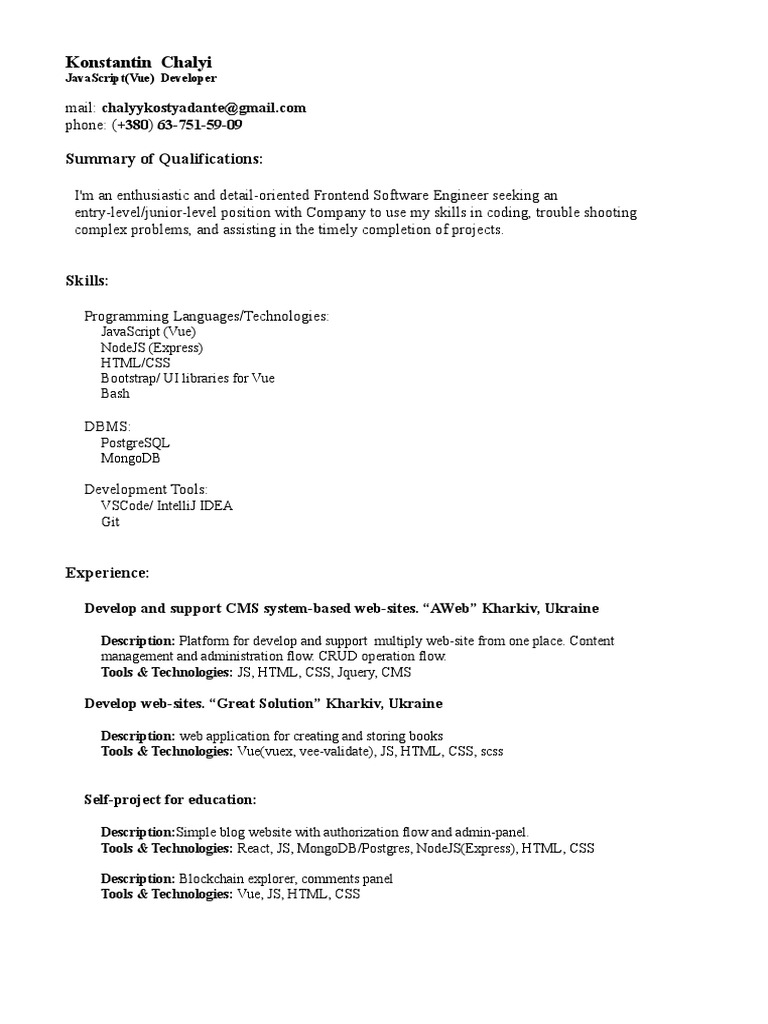 Junior Frontend Developer Profile | PDF | Technology & Engineering