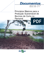 Princípios para produção sustentável de bovinos no Pantanal