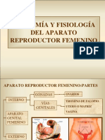 Anatomía y fisiología del aparato reproductor femenino