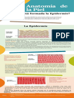 Epidermis Infografías Juan Layedra