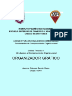 Organizador Gráfico - Eduardo Barrón Garza