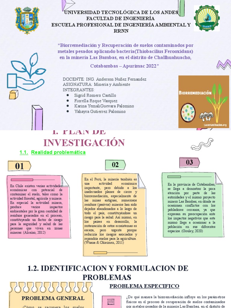 Biorremediación Y Recuperación De Suelos Contaminados Por Metales