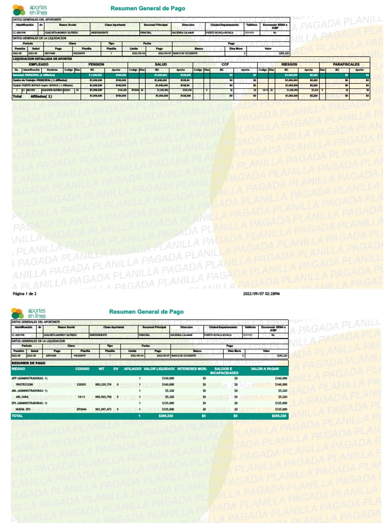 Liquidación de Aportes de Seguridad Social | PDF | Servicios ...