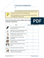 Grade 3 Behavioral Adaptations B