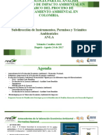 Metodología para El Análisis Económico Ambiental - Dra. YOLANDA CASALLAS - ANLA