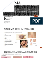 Sistema Tegumentario y Osteomuscular