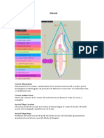 Dimensiones y características de la corona y raíz mesial - menos de