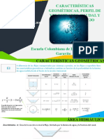 Características geométricas, perfil de velocidades, caudal y régimen de flujo en HSLB