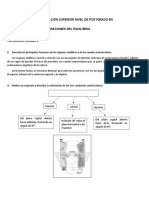 15 Cuestionario Módulo 1