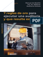 SPC Consulting Group Basics v. 04 Webinar Auditorías Exitosas