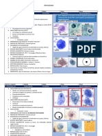 Fichas-Parcial 1-Para-Lab