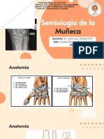 Semiologia de La Muñeca