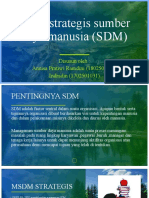 SDM Terbaru