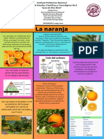 Infografia final bio