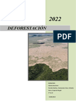 Deforestación Geografía