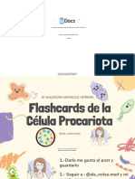 Flashcards de La Celula Procariota 221281 Downloable 1806040