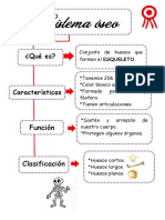 SISTEMA OSEO PRIMER GRADO