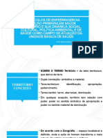 20 08 2020 Aula Territorialização-1