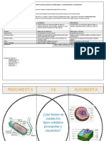 Conocemos Los Tipos de Células Según La Complejidad: Los Procariotas Y Eucariotas