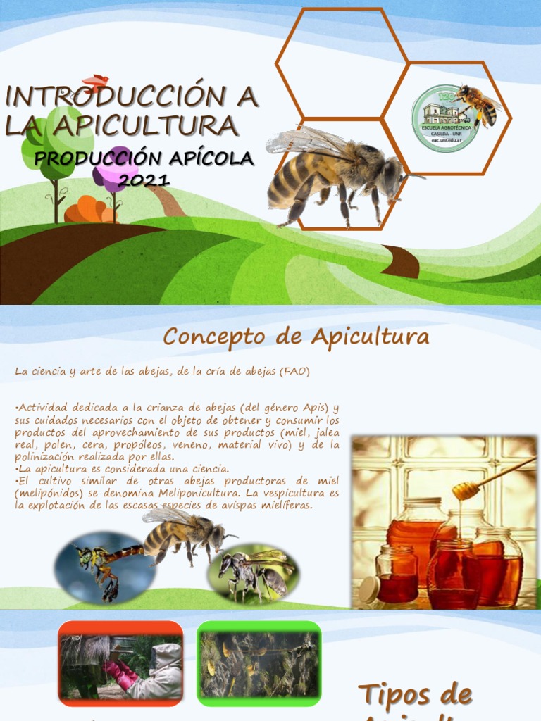 Introducción A La Apicultura | PDF | Apicultura | Miel