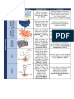 Tabla Organelos