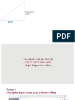 Input Data Ibu Hamil 2022