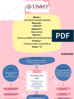 Mapa Mental-Psicologia de La Salud-Martin Agramon