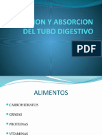 Procesos digestivos y absorción de nutrientes