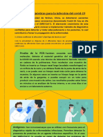 Pruebas Diagnósticas para La Infección Del Covid.