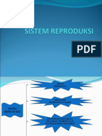 Sistem Reproduksi