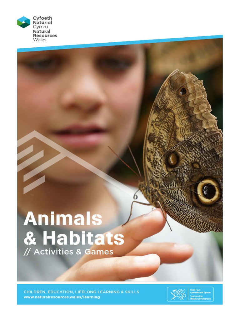 Activities and games animals habitats download free pdf food web