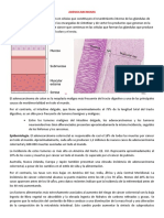 Adenocarcinoma Colorectal