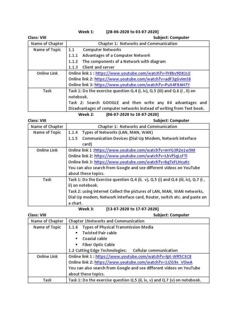 Class VIII Computer | PDF | Computer Network | Antivirus Software