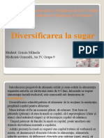 Diversificarea Alimentatiei - Gorciu Mihaela, MG IV, Gr.9