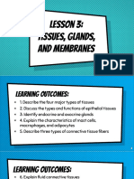 C. Topic 1 - Types of Tissues (EPITHELIAL TISSUE)