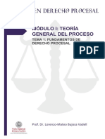 Fundamentos constitucionales e internacionales del Derecho Procesal