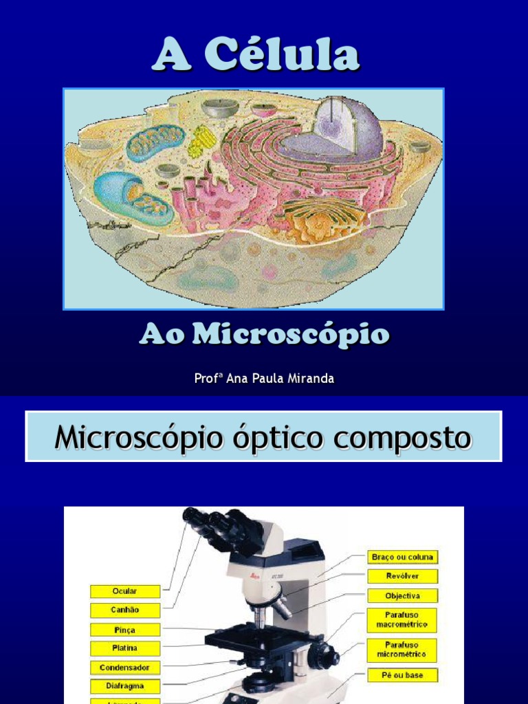 A Célula | PDF | Célula (Biologia) | Membrana celular