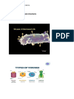 Virus Structures and Morphology Notes