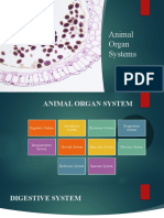 Animal Organ Systems-1